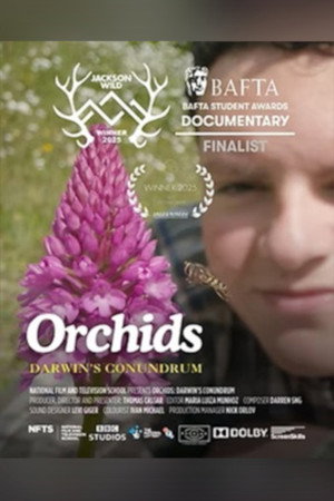 Orchids: Darwin's Conundrum poster