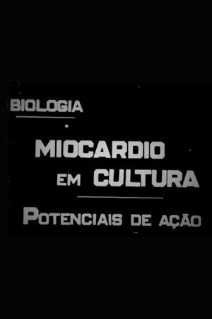 Miocárdio em Cultura: Potenciais de Ação poster