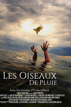 Les Oiseaux de pluie
