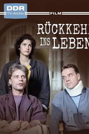 Rückkehr ins Leben