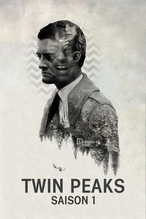 Twin Peaks - The Return (Mystères à Twin Peaks)