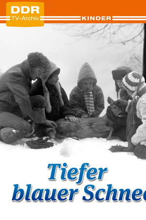 Deep Blue Snow poster