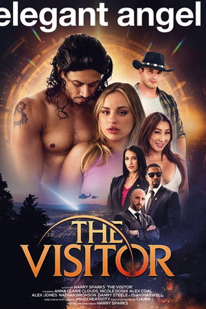 The Visitor The Visitor