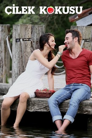 Çilek Kokusu
