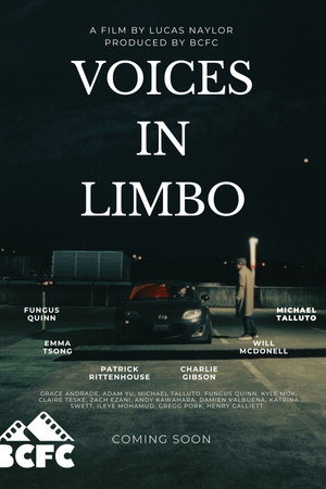 Voices In Limbo