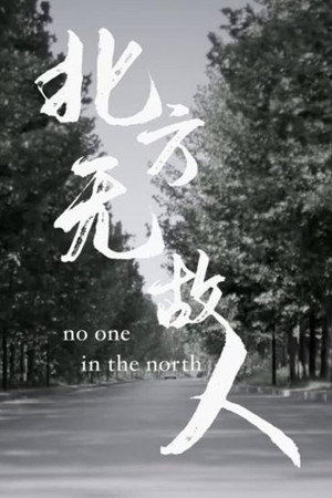 No One in the North poster