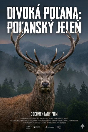 Divoká Poľana: Poľanský jeleň Divoká Poľana: Poľanský jeleň