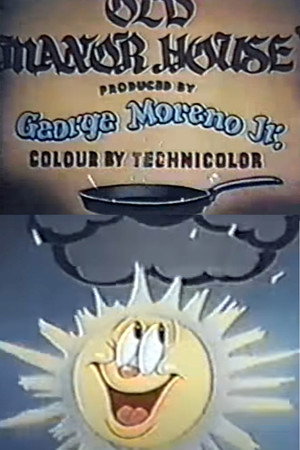 Old Manor House poster