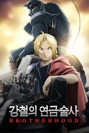 강철의 연금술사 BROTHERHOOD