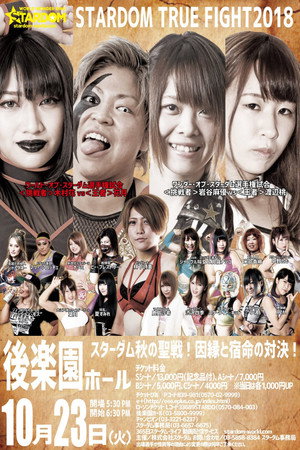 Stardom True Fight 2018