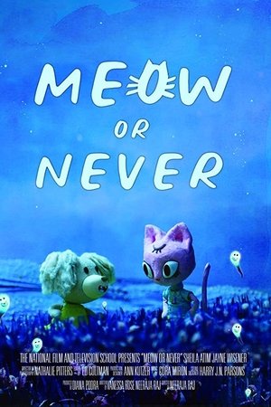 Meow or Never