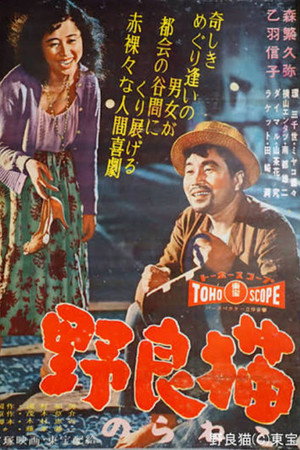 野良猫 野良猫