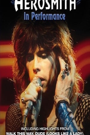 Aerosmith in Performance