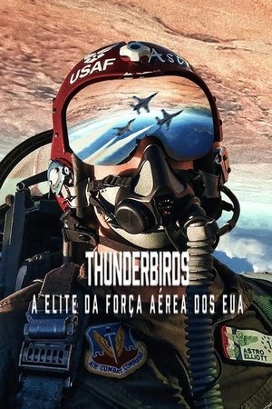 Poster do filme Thunderbirds: A Elite da Força Aérea dos EUA