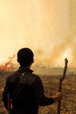 Fire At Forest poster