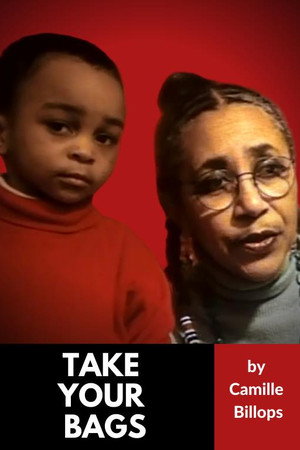 Take Your Bags poster