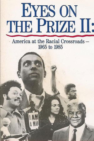 America at the Racial Crossroads 1965–1985
