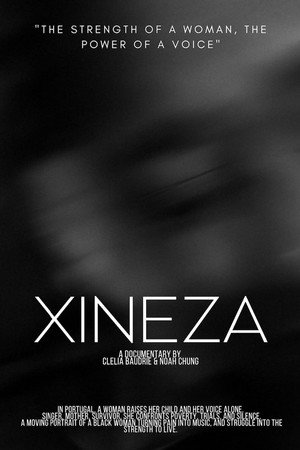 Xineza poster