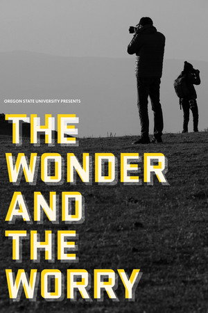The Wonder and the Worry poster