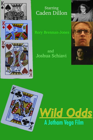Wild Odds poster