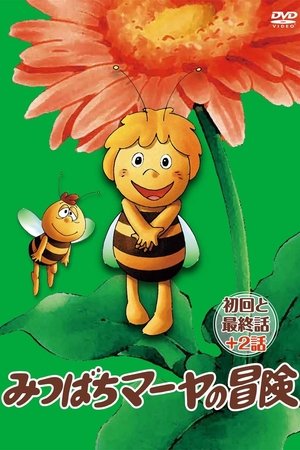 마야 붕붕