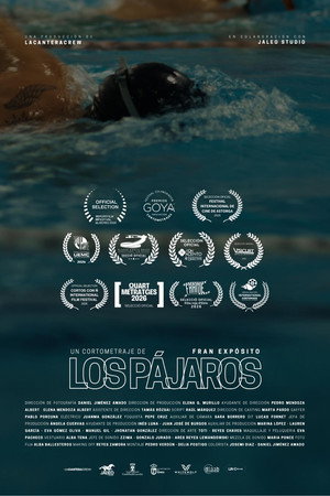 Los pájaros poster