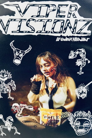 Viper Visionz poster