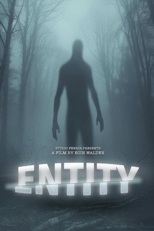 Entity Entity
