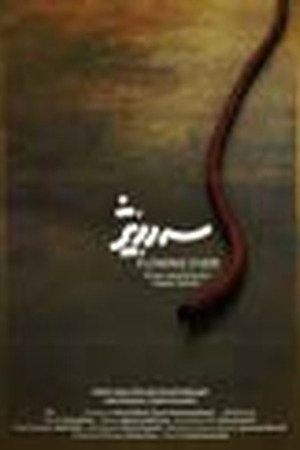 Flowing Over poster