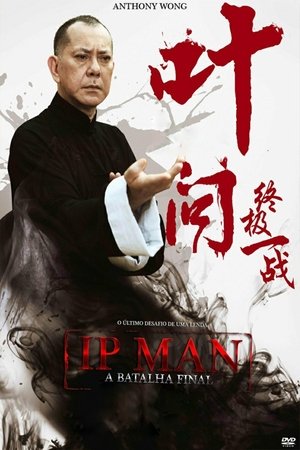 Ip Man: A Batalha Final (2013) Dublado Online