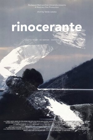 Rinocerante