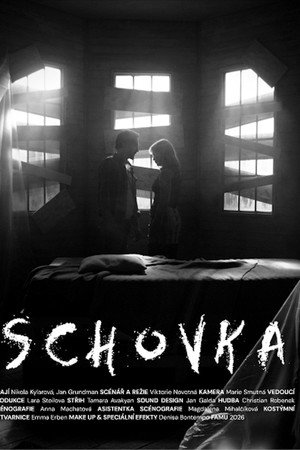 Schovka poster