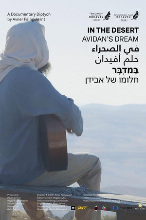 In the Desert: A Documentary Diptych poster