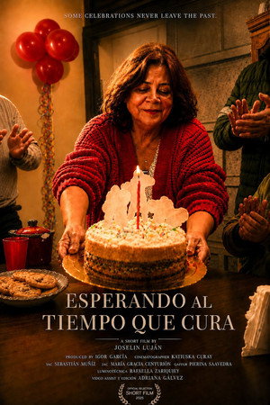 Esperando al tiempo que cura poster