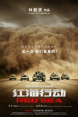 Operation Red Sea Movie Overview