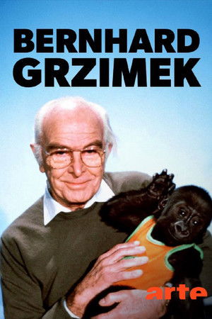 9wkx9jal69yefd7b3zp0myeyvrm