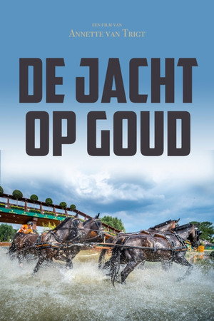 The Hunt for Gold poster