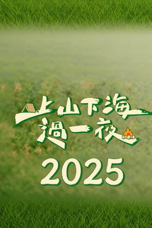 上山下海过一夜（2025）