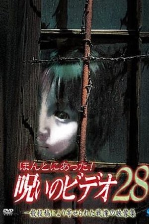 ほんとにあった！呪いのビデオ28