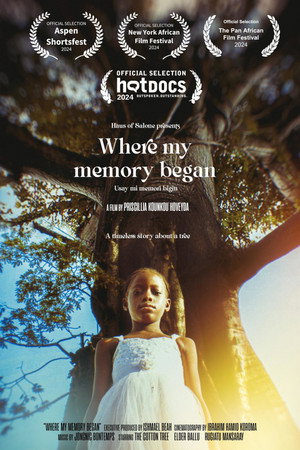 Where My Memory Began poster