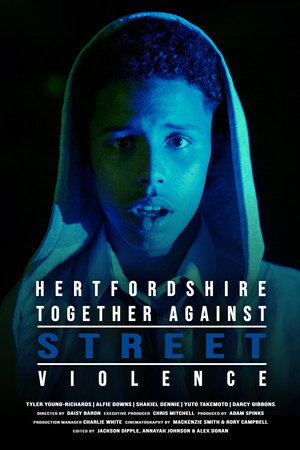 Hertfordshire Together Against Street Violence