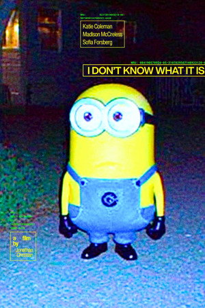 I Don't Know What It Is poster