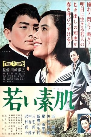 Wakai suhada