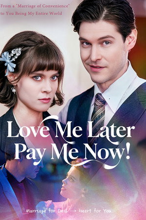 Love Me Later Pay Me Now