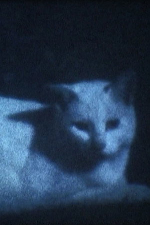 DARK BLACK SHADOW PEOPLE poster