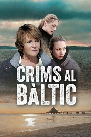 The Nordic Murders