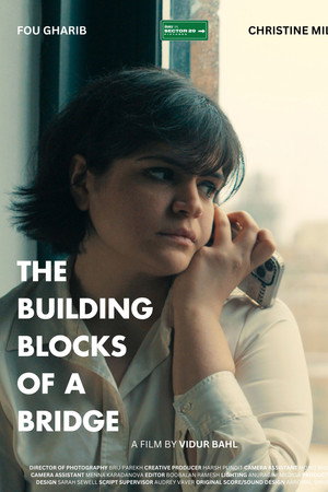 The Building Blocks of a Bridge poster