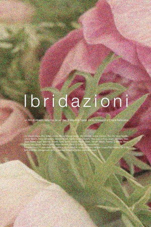 Ibridazioni poster