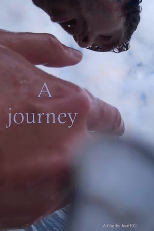 A Journey Movie Overview