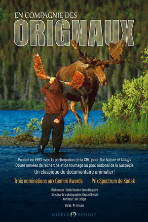 En compagnie des orignaux poster